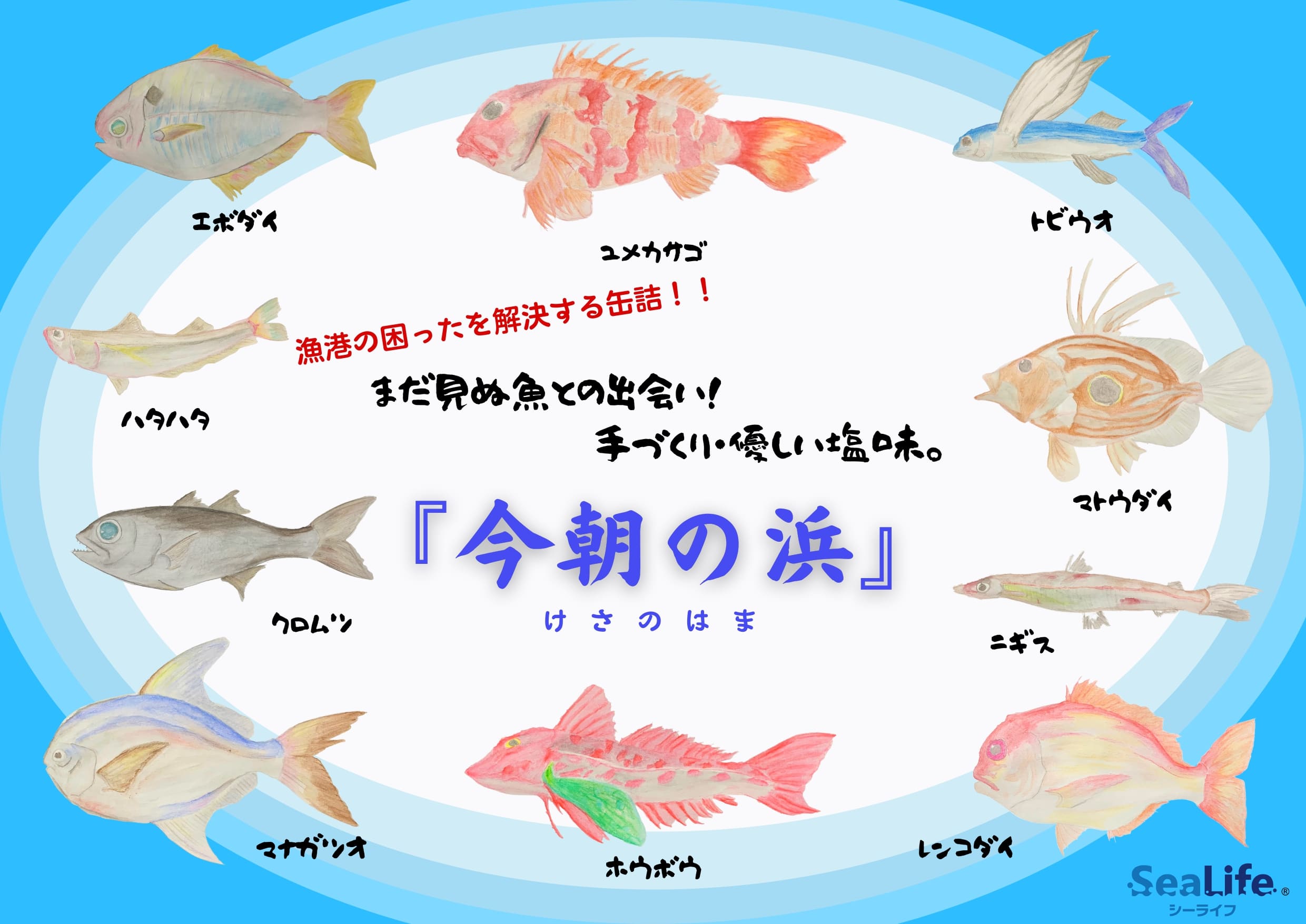 【生産終了】今朝の浜 毎朝かわる旬魚缶(6缶入り)