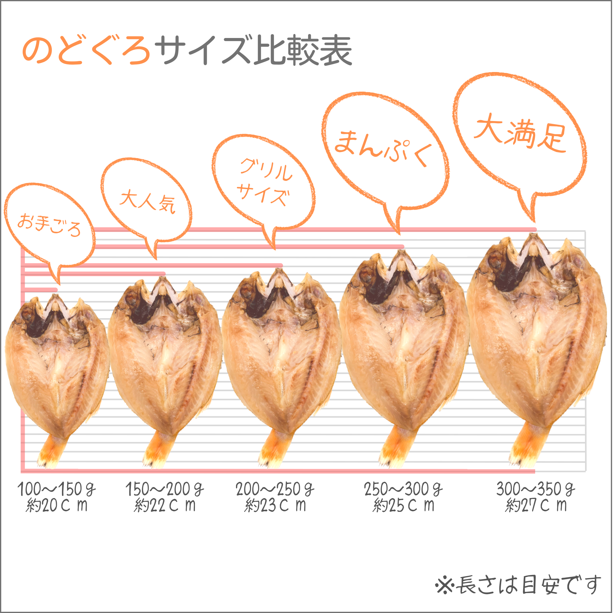 ふるさと納税掲載中ののどぐろ干物サイズ一覧表